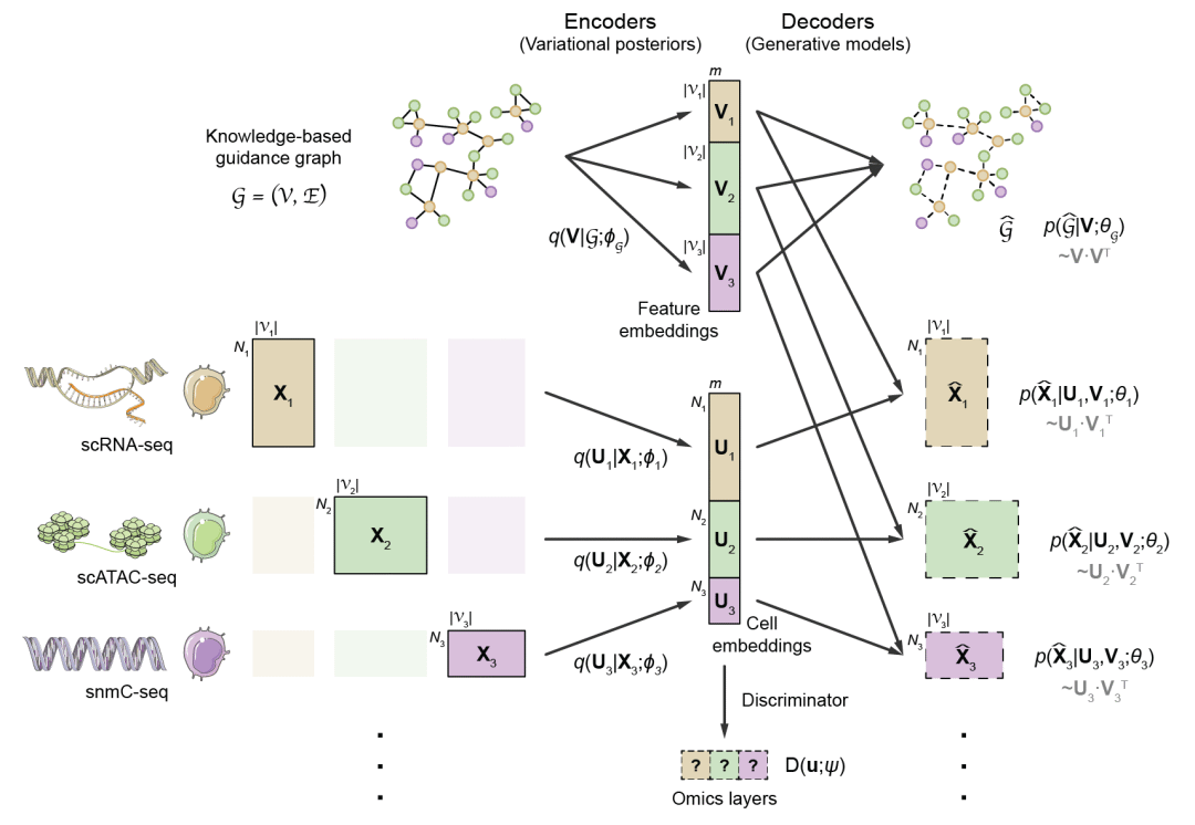 1.Multi-omics single-cell data integration and regulatory inference with graph-linked embedding.png