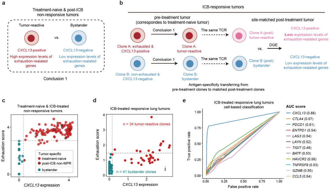 9.Single-cell meta-analyses reveal responses of tumor-reactive CXCL13+ T cells to.png